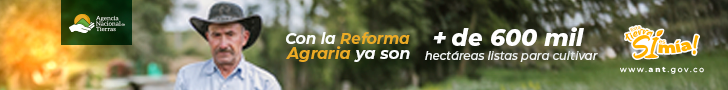 Baquiano Noticias